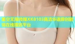 星空无限传媒XK8103高清华语原创剧情在线播放平台