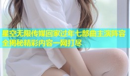 星空无限传媒回家过年七部曲主演阵容全揭秘精彩内容一网打尽