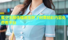 星空无限传媒房东怀了何苗精彩内容免费看平台