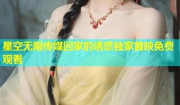 星空无限传媒回家的诱惑独家首映免费观看