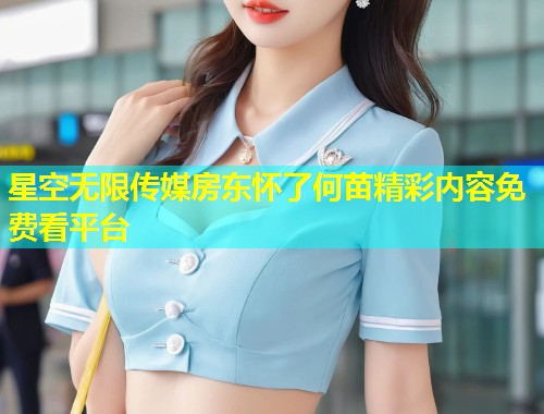 星空无限传媒房东怀了何苗精彩内容免费看平台
